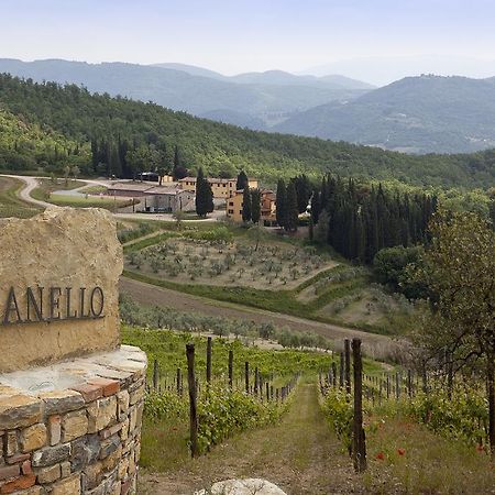 Agriturismo Panzanello Panzano in Chianti Exterior foto